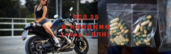 spice Ладушкин