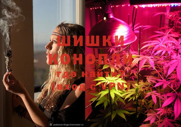 spice Ладушкин