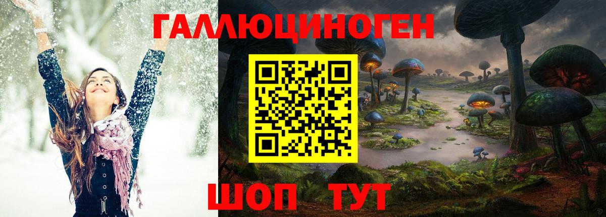Псилоцибиновые грибы Psilocybe Воронеж