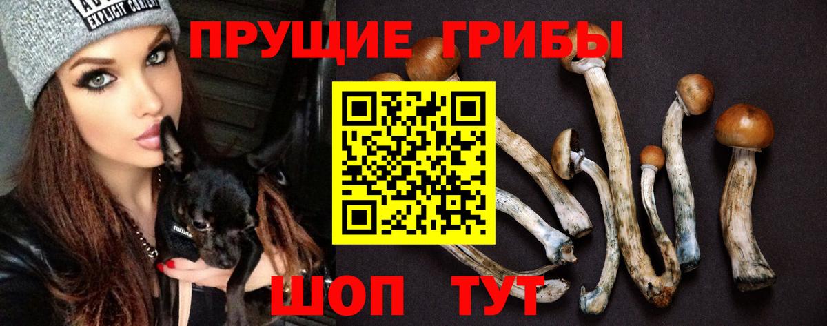 Галлюциногенные грибы ЛСД  Вход с VPN  дарнет шоп  Воронеж 